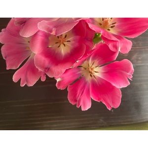 Meet your Posher, Theresa